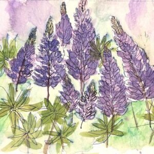 lupine-glow