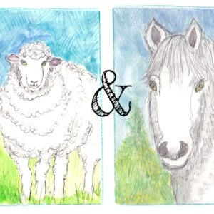 cheepy-and-grandma-mare-a-true-tale-of-animal-friendship